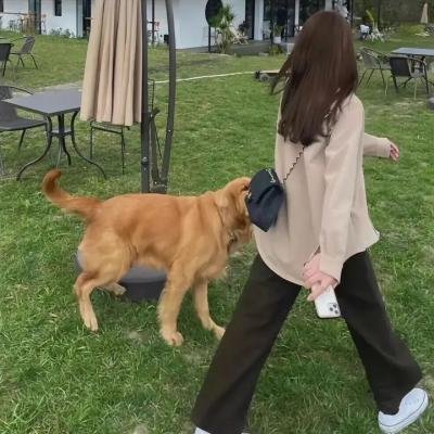 泪光闪闪
